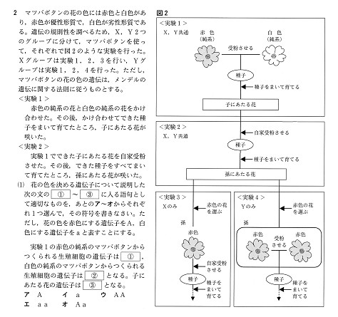 高羽小１年生のみなさんへ 小１の今こそ 勉強に自信をつけるチャンスです Winstar個別one